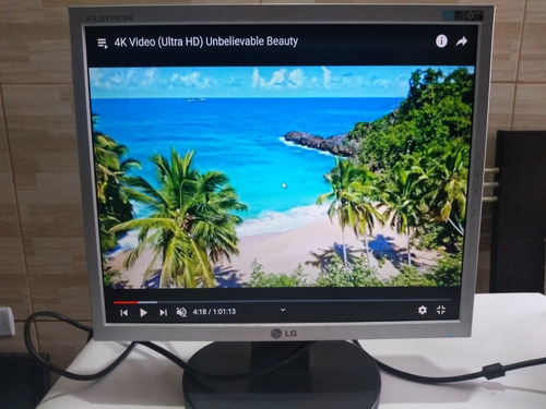 Monitor Lg 17 Polegadas Entradas Vga E Dvi Usado!!! (Usado)