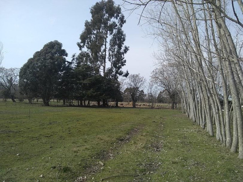 Imagen 11 de 16 de Chacra Productiva - Ideal Horticultura O Cría De Cerdos