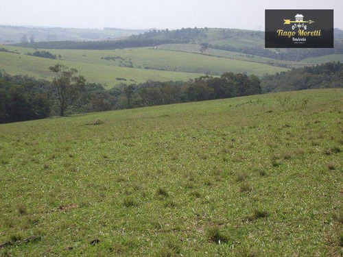 Imagem 17 de 30 de Excelente Fazenda 67 Alqueires - Fa0009
