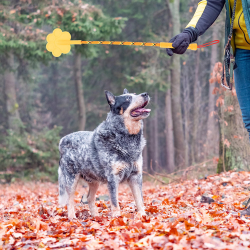 Herramienta De Entrenamiento De Perros De Goma Duradera Con