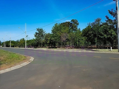 Imagem 25 de 28 de Terreno Industrial, W Park Condomínio Industrial, Mogi Mirim - Te08619 - 34837535