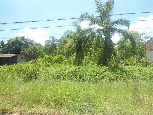 Imagem 2 de 2 de Terreno - Venda - Umurama - Itanhaem - Ita1478