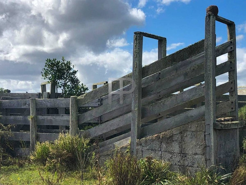 Imagen 4 de 12 de Campo En Venta Las Cañas 77 Hectáreas