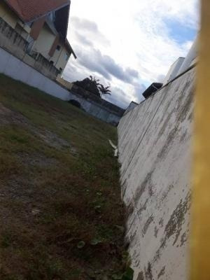 Terreno Em Frente Para O Mar Em Rua Calçada Em Itanhaém - 0075-t