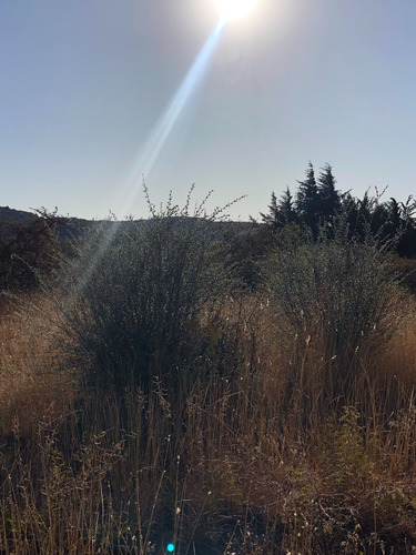 Imagen 8 de 15 de Lote De 1250 M2 En Barrio Los Olivares De Los Hornillos / Traslasierra Con Escritura