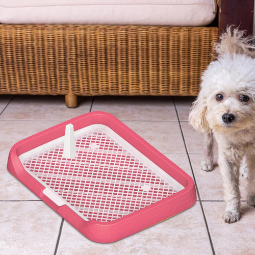 Inodoro For Cachorros Pequeños, Fácil De Usar Y Y