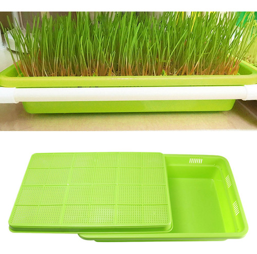 Bandeja De Germinação De Sementes Bandeja De Verde
