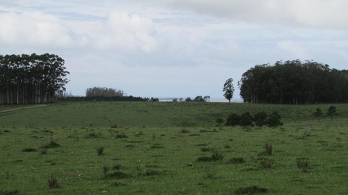 Chacra De 5has Cno. Del Anastasio - Altos De José Ignacio