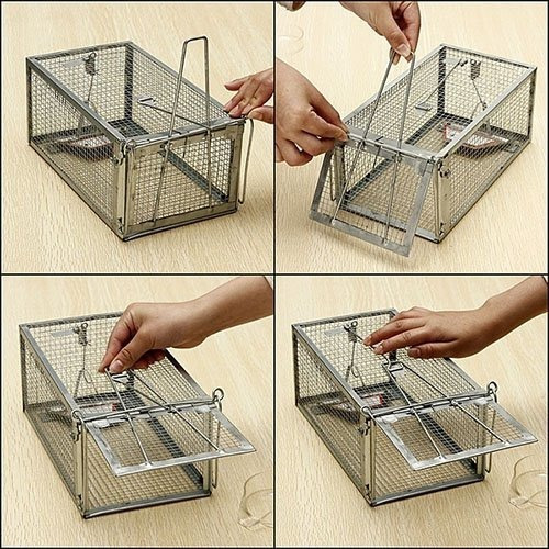 Rata Trampa 1 Puerta Human Mouse De Animales Vivos Jaula Tra