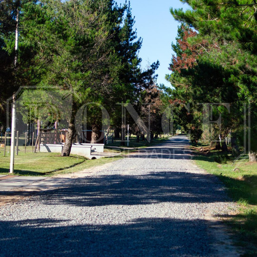 Chacras Don Jose - Lotes Quintas