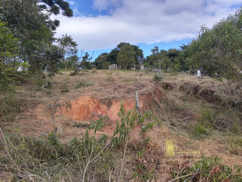 Imagem 3 de 10 de Terreno A Venda No Bairro Fazenda Da Lage Em Nova Friburgo - - 1542-1