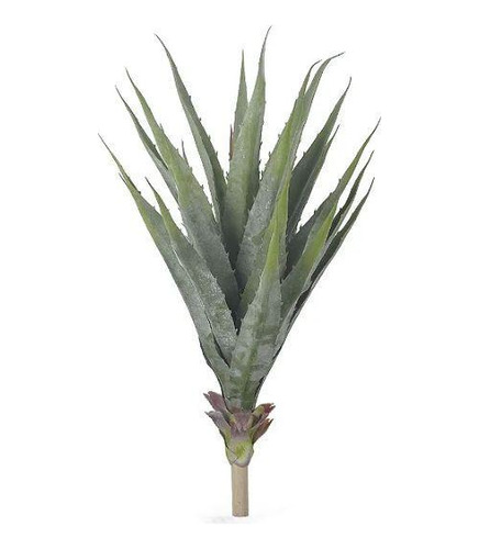 Planta Agave Com Powder Toque Real No Gesso 70cm