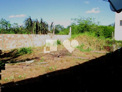 Imagem 4 de 7 de Sitio - Lami - Ref: 31320 - V-51422965