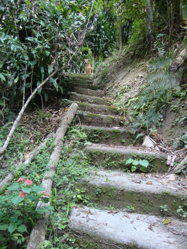 Imagem 19 de 22 de Chácara Para Venda - Botujuru , Mogi Das Cruzes - 100m², 1 Vaga - 1321