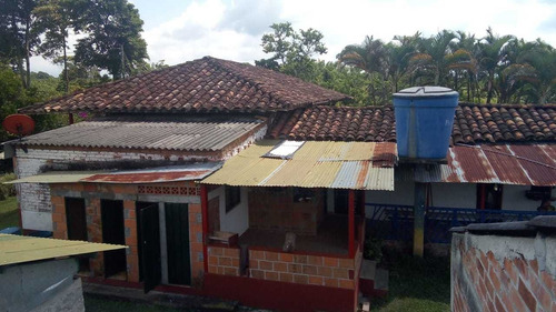Imagen 2 de 13 de Se Vende Finca En La Vereda La Carmelita Quimbaya