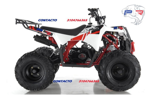 Cuatrimoto Moto Polar Plr 125cc Motor 4t 0km 2 Años Grantía