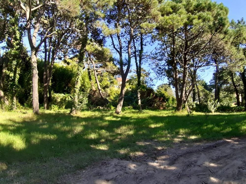 Imagen 6 de 6 de Cul De Sac Langosta