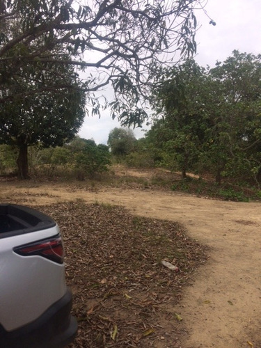 Imagem 16 de 18 de Ótimo Sítio 14 Hec, Não Tem Benfeitoria, Estrada De Aldeia Km 33 Em Paudalho Aceito Carro - St00007