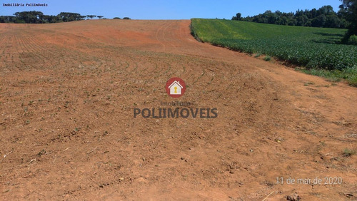 Imagem 5 de 11 de Área Para Venda Em Contenda, Contenda - Ar0613_2-1449826