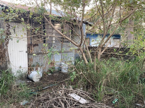 Imagen 3 de 4 de Terreno En Venta Populares
