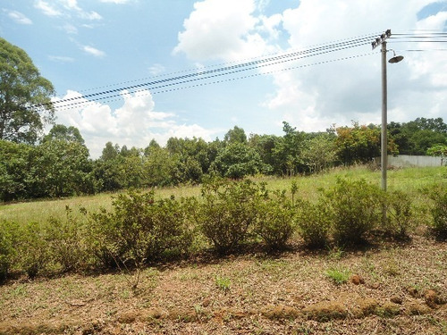 Imagem 16 de 30 de Vendo Área Na Estiva Em Louveira Com 150 Mil M². - Ar00006 - 2586566