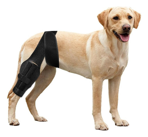 Rodillera Ilovemove Para Perro, Soporte Para Piernas Trasera