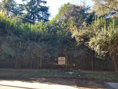 Imagen 6 de 6 de Alquiler Fracción De 3700m2 A 1/2 Cuadra De Ruta 3 Sobre Asfalto, Virrey Del Pino, Km 46,700, Ideal Corralón De Materiales, Distribuidora, Implantación, Excelente Ubicación.