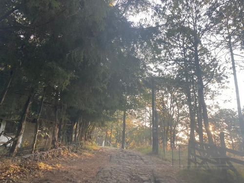 Imagen 3 de 8 de Gran Terreno En Zona Arbolada En Paraje Cuacuametla, Huitzil