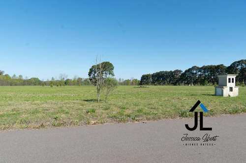 Imagen 12 de 15 de Oportunidad Venta De Dos Lotes Juntos En E1 De Pinares Cc