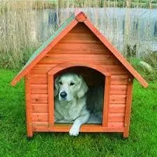 Casa De Perro, Casa De Mascota,