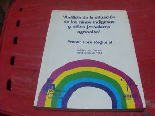 Analisis De La Situacion De Los Niños Indigenas Y Niños Jorn