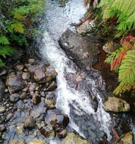 Sitios En Venta Para Inversión En Puerto Varas