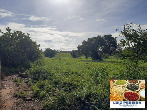 Imagem 5 de 15 de Fazenda À Venda No Vale Do Araguaia / Divinópolis - To - (dupla Aptidão) - 1705