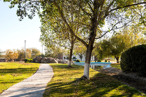 Terreno En Venta En Las Trojes En Torreon