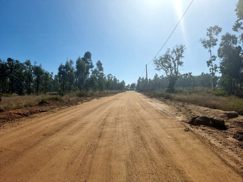 Parcela En Camino A Tunquen, Red De Agua Y Luz