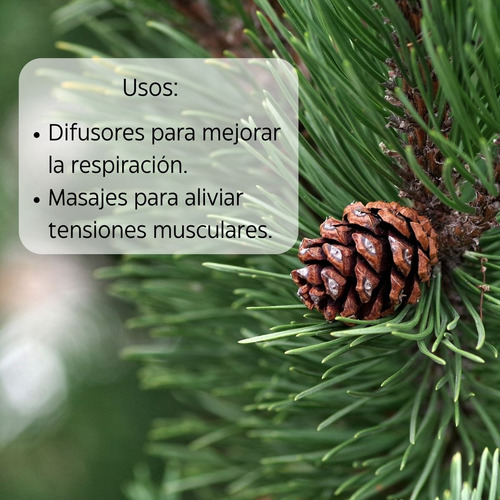 Aceite Escencial De Pino 10 Ml Ideal Para Difusor