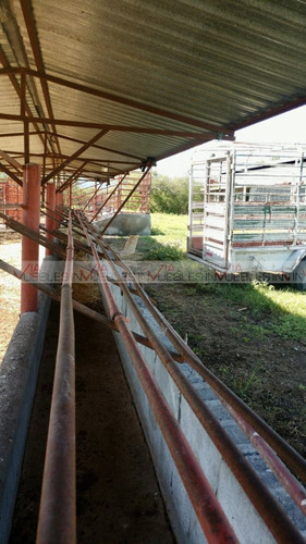 Sabinas Hidalgo