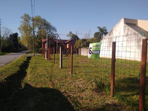 Imagen 3 de 4 de Oportunidad! Excelente Lote En Moreno A Metros De Victorica Y Acceso Oeste | 590m2 Aproximadamente