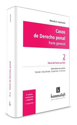 Casos De Derecho Penal. Parte General Vol 2 Sancinetti