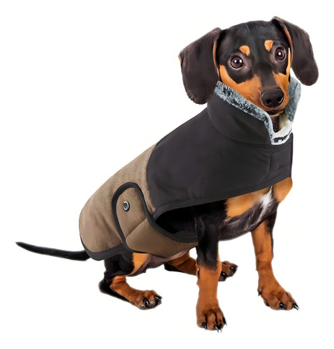 Abrigo Buzo Ropa Campera Cocooning Woody Fashion Perro S