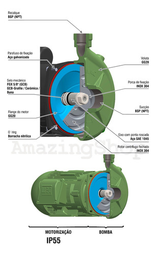 Motobomba Centrífuga Rotor Inox Fgx-100 1cv I P55 Weg Famac Cor Preto-verde Fase Elétrica Monofásica Frequência 60hz 110v/220v Monofásica