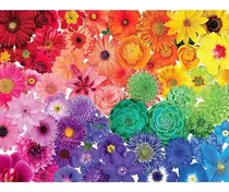 Comprar Puzzle Para Adultos Puzzle Para Adultos 1000 Piezas Y 3ycsm