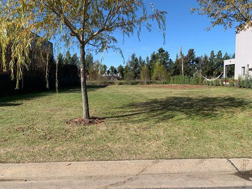 Venta Lote Al Rio Con Amarra Y Muelle En San Benito Villanueva Tigre Amt
