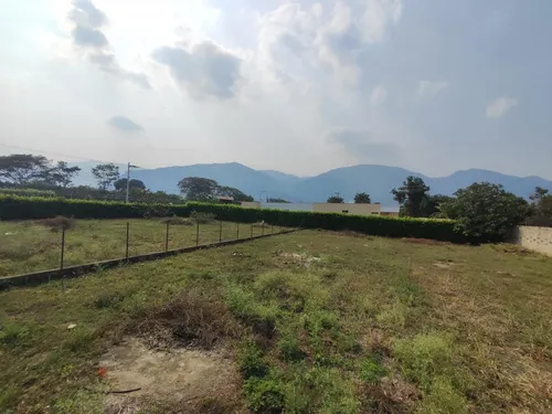 Lote En Venta En Corozal. Cod V29027