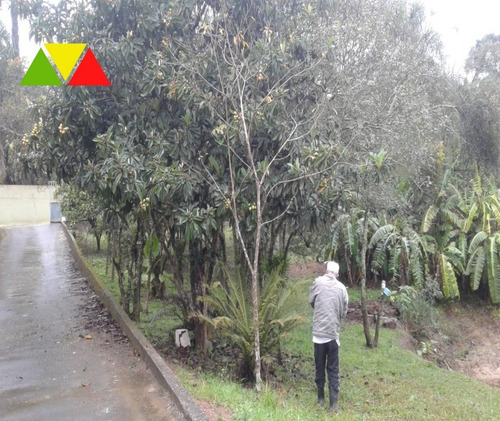 Imagem 4 de 28 de Chacara - Ch00131 - 68473051
