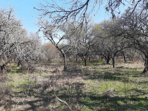 Imagen 6 de 15 de 18 Hectareas En Villa Paranacito Ideal Ganadero O Plantacion