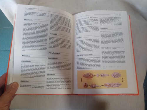 Libro De Areas Consultor Didactico, Ciencias Naturales