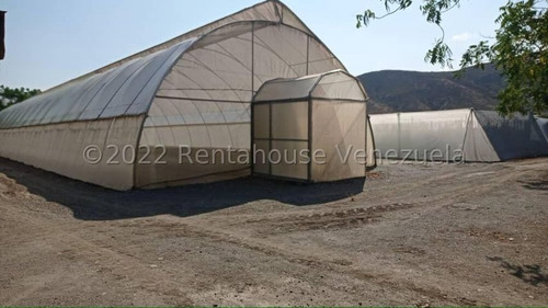 Imagen 11 de 30 de Fina En Venta Quibor Estado Lara, 04245937542