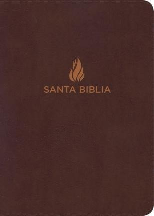 Rvr 1960 Biblia Letra Grande Tamano Manual Marro (importado)