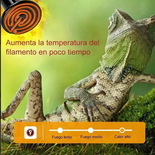 2 Focos De Cerámica De 100 W Para Acuarios Y Reptiles, Luz N